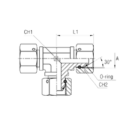 Соединение PSNT BSP 1/8
