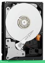 Жесткий диск WD 1TB WD10PURZ