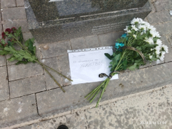 тест комплект