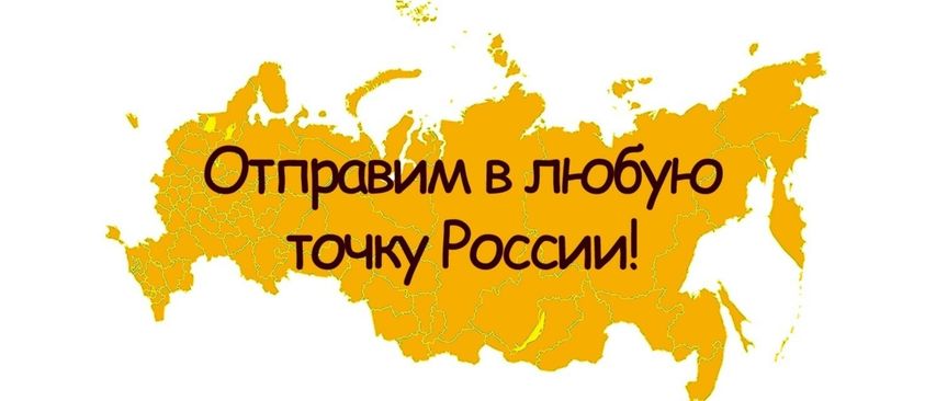 Цену доставки уточняйте у менеджеров