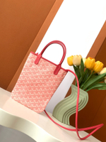 Goyard Poitiers Claire-Voie Bag