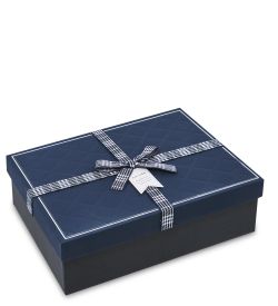 WF-171/2-A Коробка сред., синий/черный