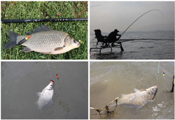 CHUNRYU Sulwhasoo gold