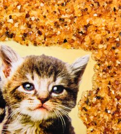 AMB-71/52 Картина «Котята» (с янтарной крошкой) дер.краш.рамка 21х30