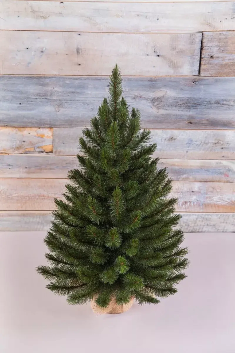 Елка Лесная Красавица в мешочке 90 см., леска, Triumph Tree (73669)