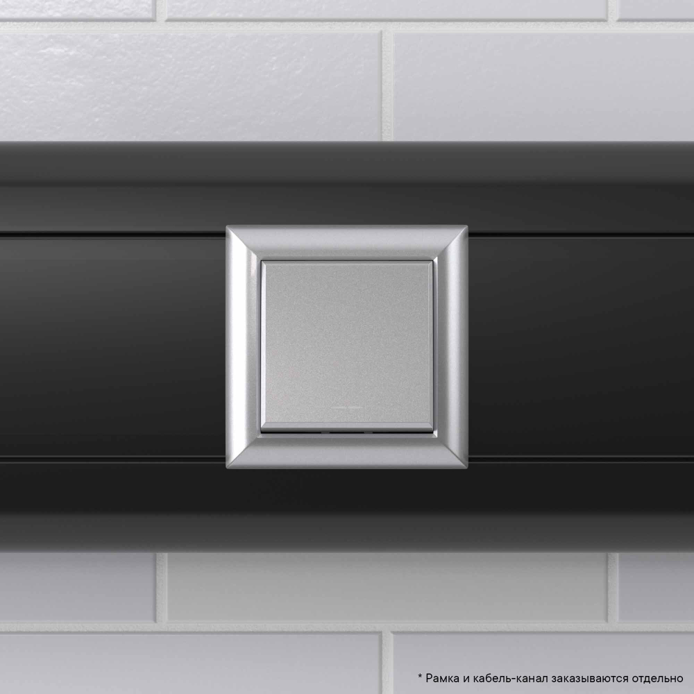 Переключатель одноклавишный модульный, "Avanti", "Закаленная сталь", 2модуля