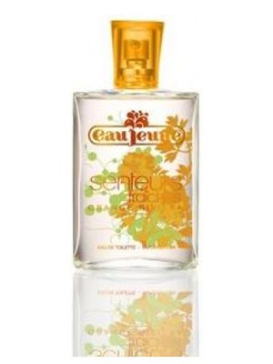 Eau Jeune Orange Riviera