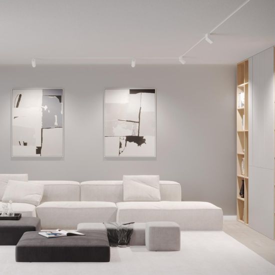 359493 SHINO NT24 138 белый Трековый низковольт. св-к диммир. со сменой цв.температуры, пульт ДУ/Tuya Smart Life IP20 LED 12W 48V 3000-6500K FLUM