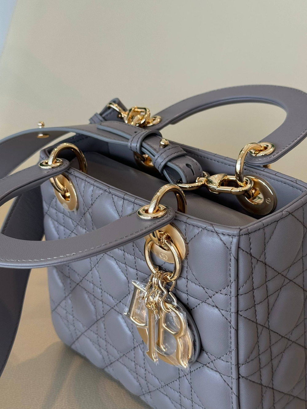 Сумка Christian Dior