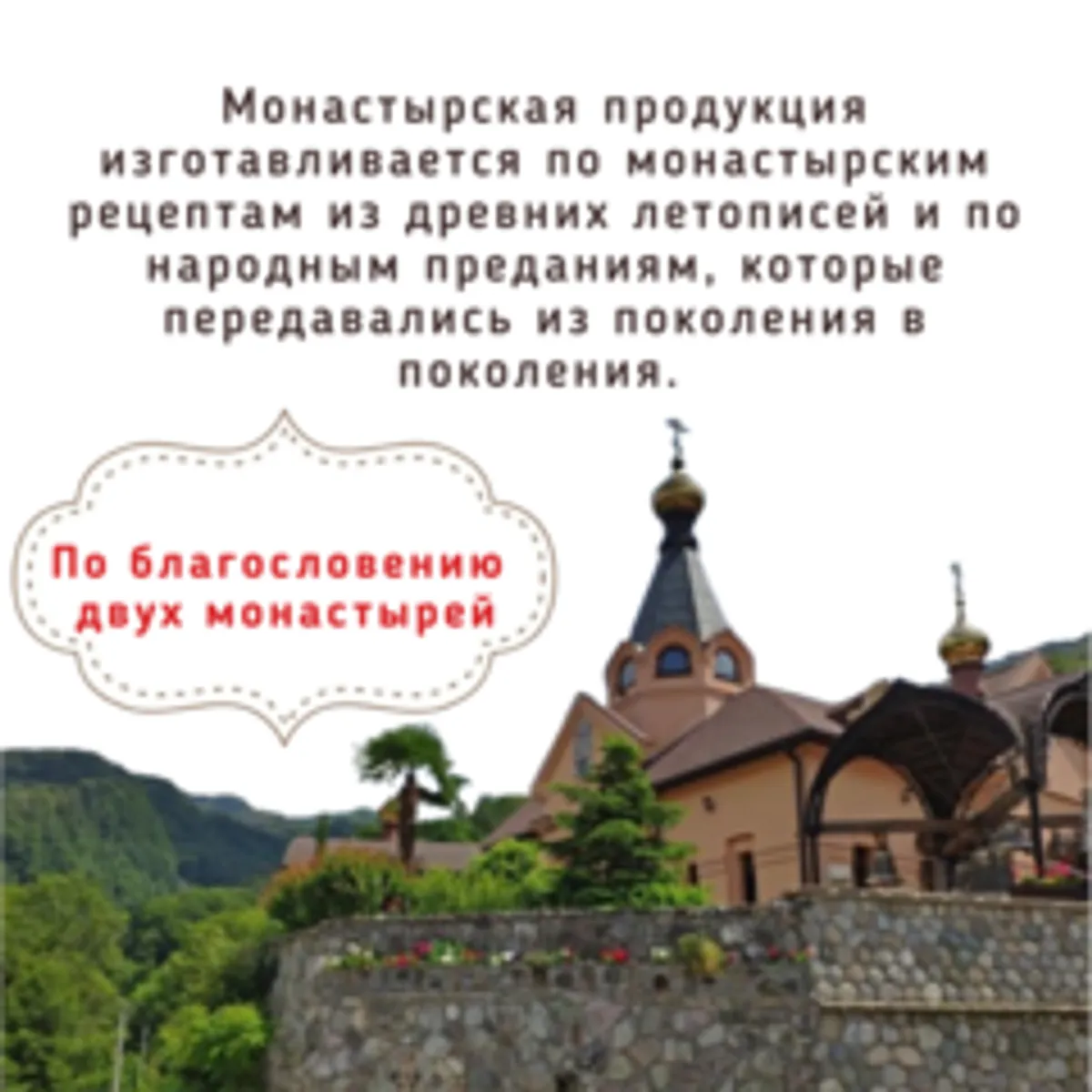 Сердце, сосуды, бронхи - дигидрокверцетин и чага/21 шт