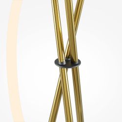 Торшер светодиодный Maytoni   MOD369FL-L36BS3K