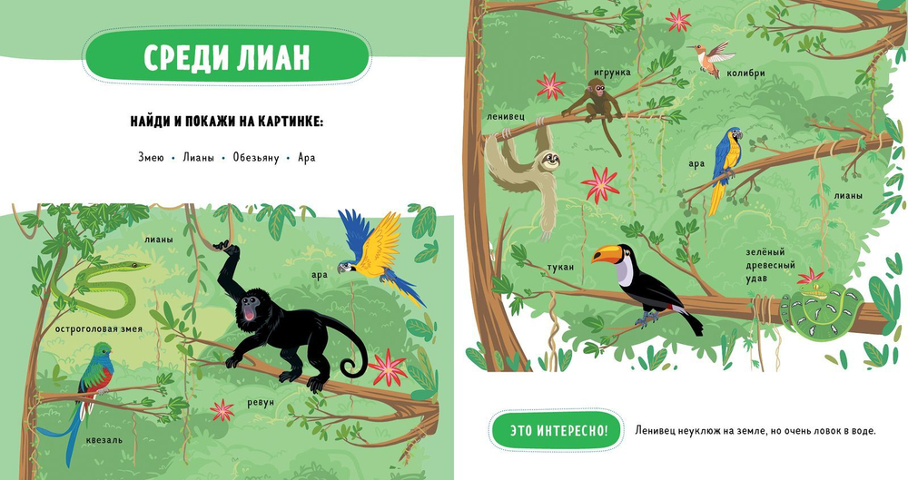 Главная книга малыша. Такие разные животные