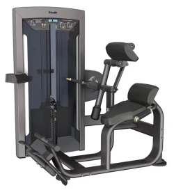 Impulse FE9732 разгибание спины, профессиональный тренажер