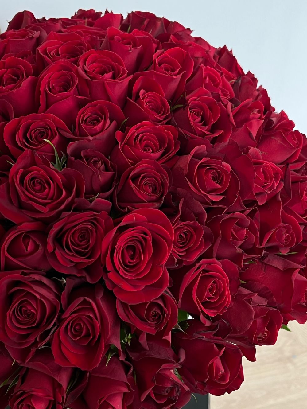 Букет из красной розы (50см) 101 шт под ленту