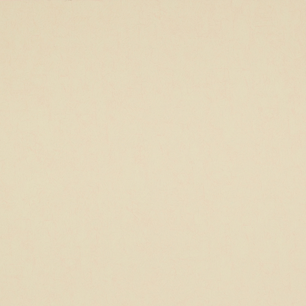 BN 17123 Обои BN (Van Gogh) 10,05х0,53 винил на флизе