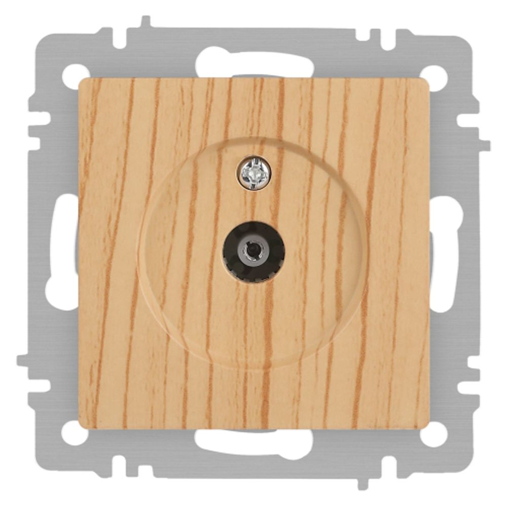 Розетка Intro Accent 6-301-11 TV одиночная, IP20, СУ, сосна