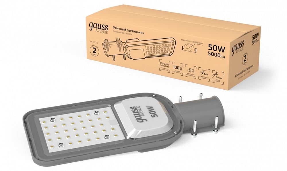 Консольный светильник Gauss  629534450