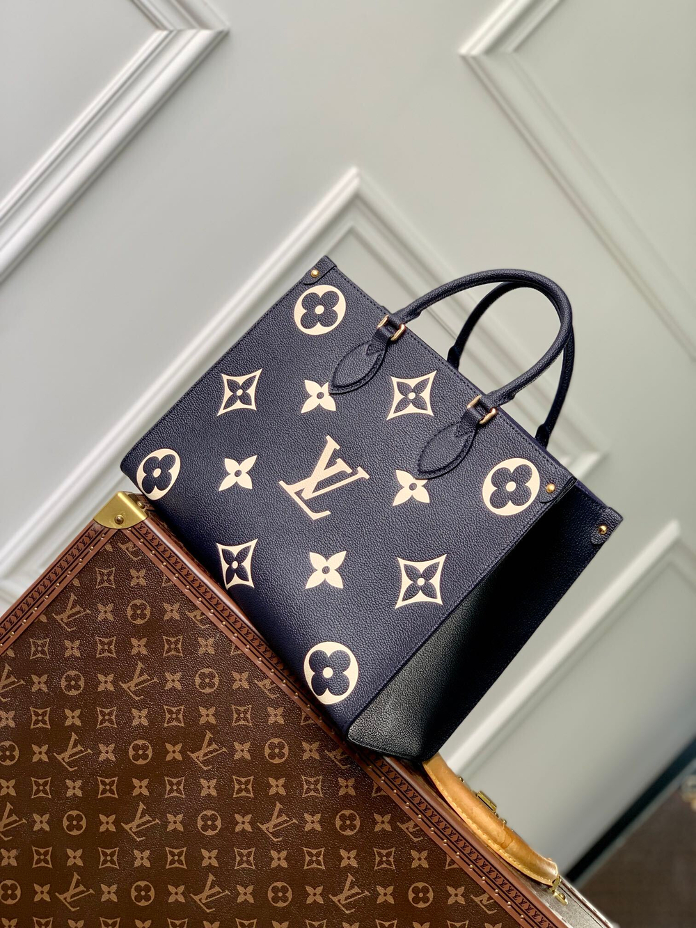 Louis Vuitton Onthego MM