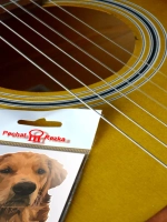 Стикер - Лабрадор Ретривер