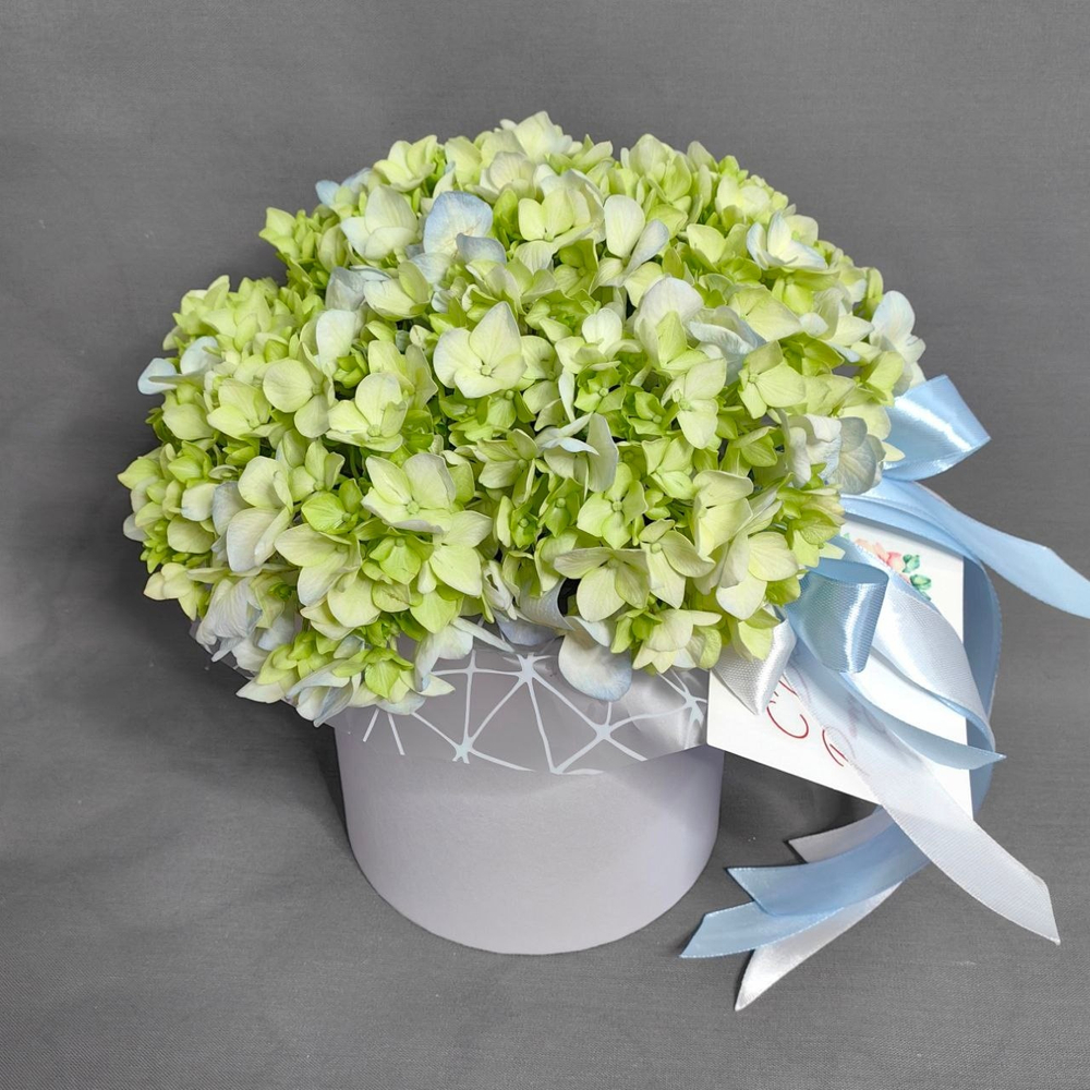 Композиция с зеленой гортензией