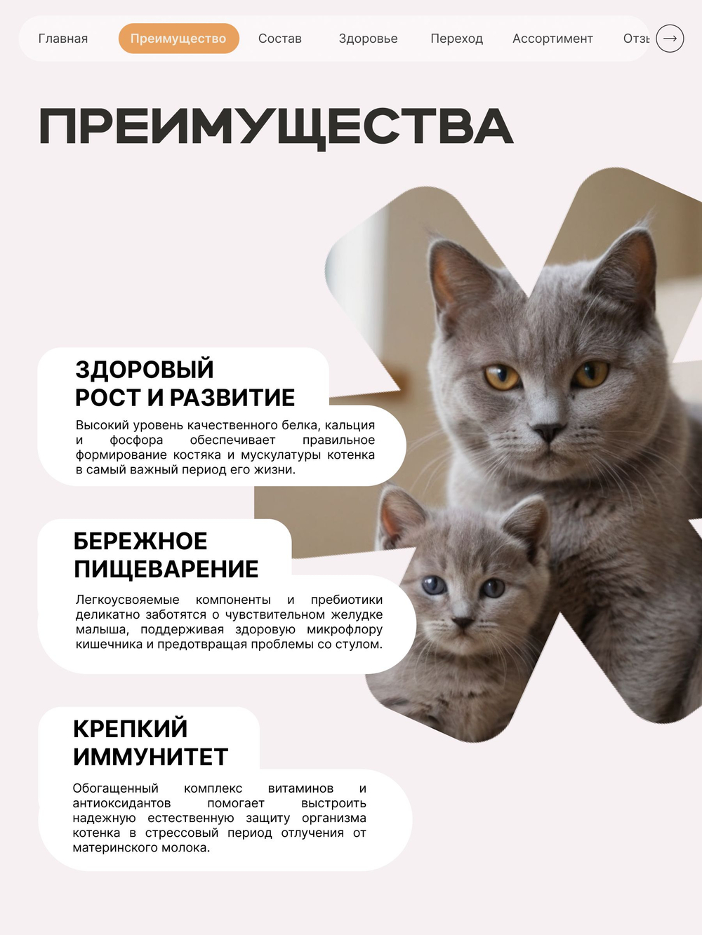Корм сухой для котят породы Сфинкс, с индейкой, 400 гр, QUATTRO