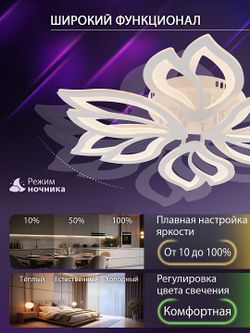 Потолочная люстра Natali Kovaltseva FORTUNA LED LAMPS 81107/6C