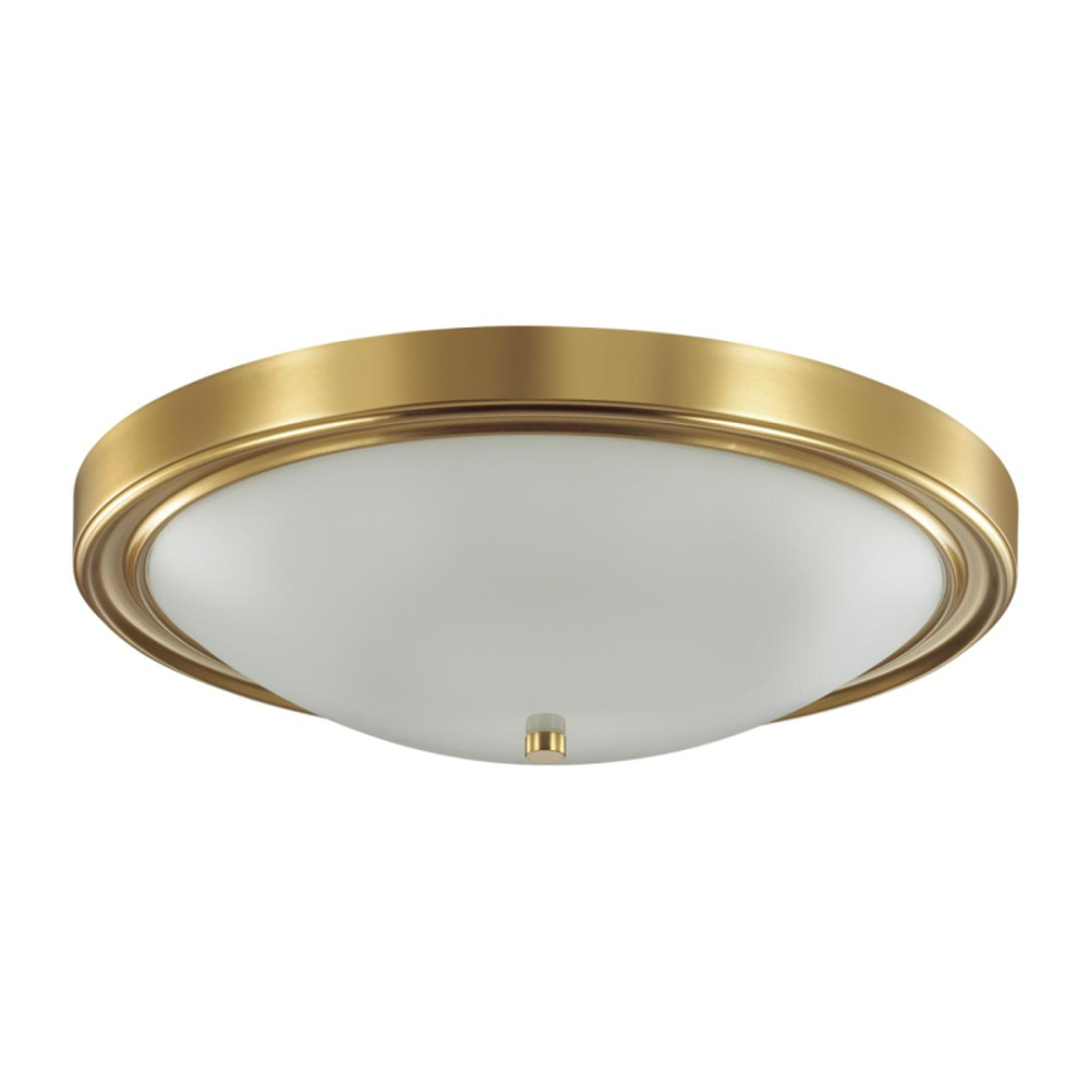 Накладной светильник Lumion 5259/4C