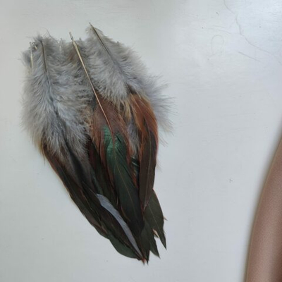 Перья петуха серые двухцветные 13 - 18 см. 20 шт.