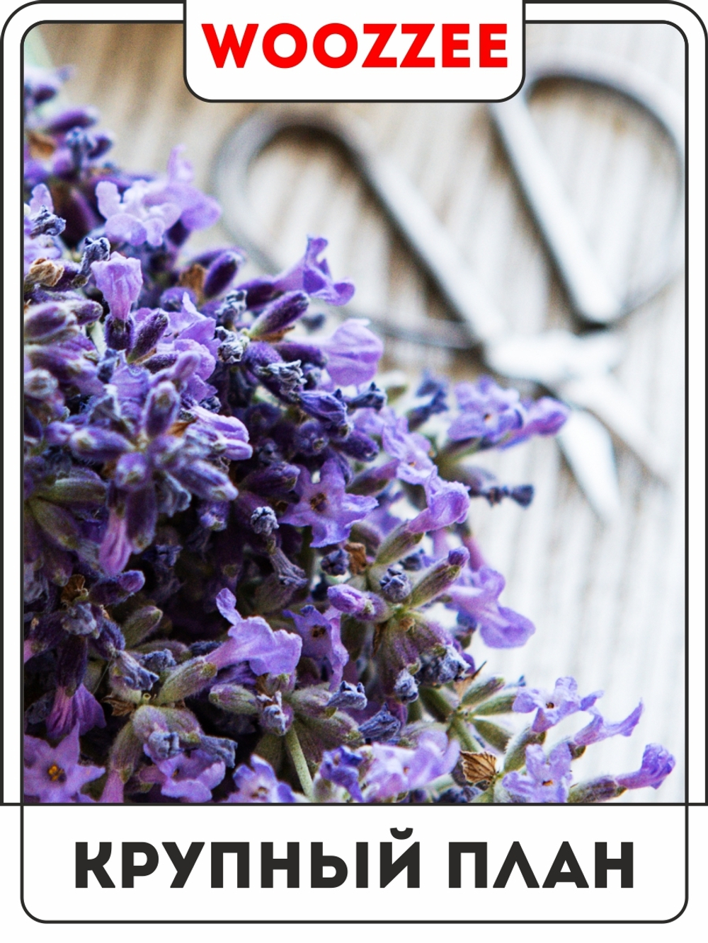 Набор постеров "Убранство Лаванды" 3шт.