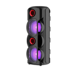 Напольная колонка Sing-e ZQS-8225 (8"30W/4.5A/микрофон)