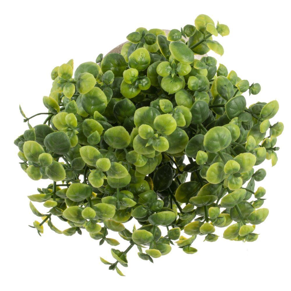 GAEM Цветочная композиция, L8 W8 H23 см