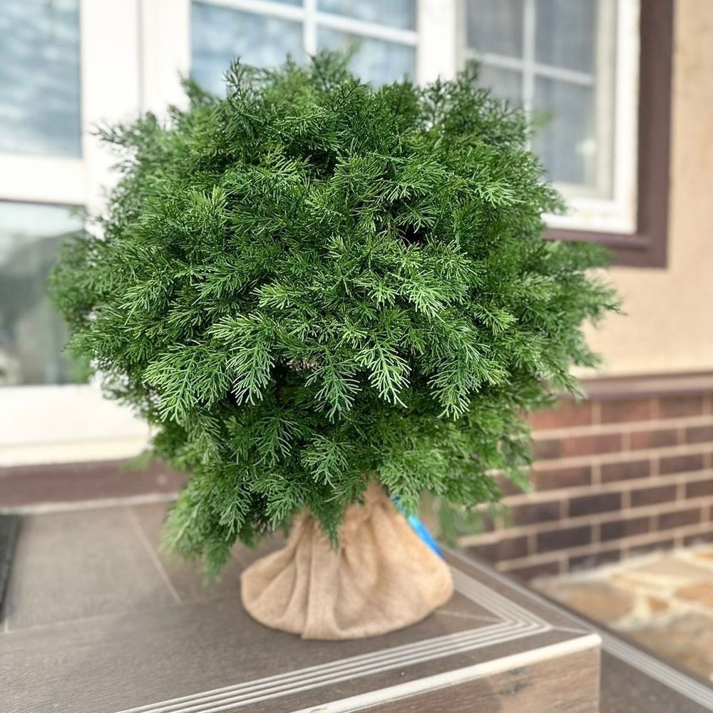 искусственная туя шар