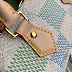 Louis Vuitton Speedy 20