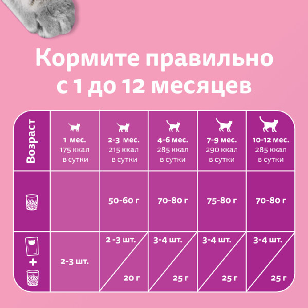 Влажный корм для котят Whiskas паштет из курицы 75 г