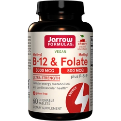 Methyl B-12 & Methyl Folate Cherry 60 жевательных таблеток Jarrow Formulas