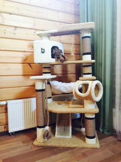 Комплекс для кошки И-18