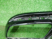 DSCN8042.JPG