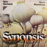 Виниловая пластинка Синопсис – Синопсис (Мелодия) LP