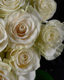 Монобукет белый