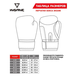 Перчатки боксерские INSANE ARES, кожа