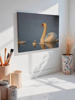 Картина на стену 40 X 50 Лебедь с детенышами