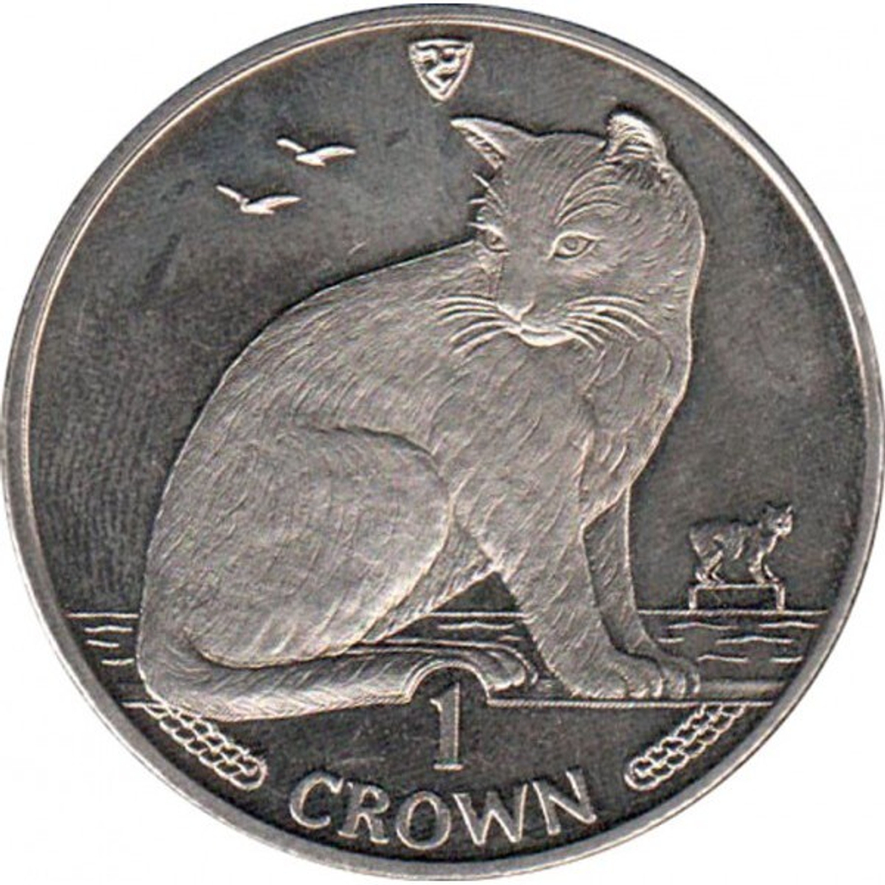 Уличная кошка