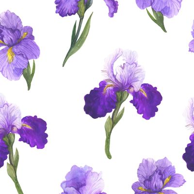 Акварельные ирисы на белом фоне