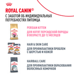 Royal Canin Persian Adult Персиан Эдалт Корм сухой для взрослых кошек породы персидская от 12 месяцев 4кг