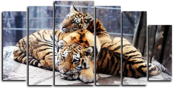 Модульная картина "Два тигра"