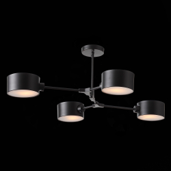 Cветильник потолочный Evoluce Gimento SLE183402-04