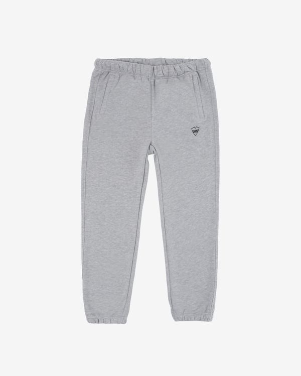 Штаны Logo Зимние Серые - фото 1