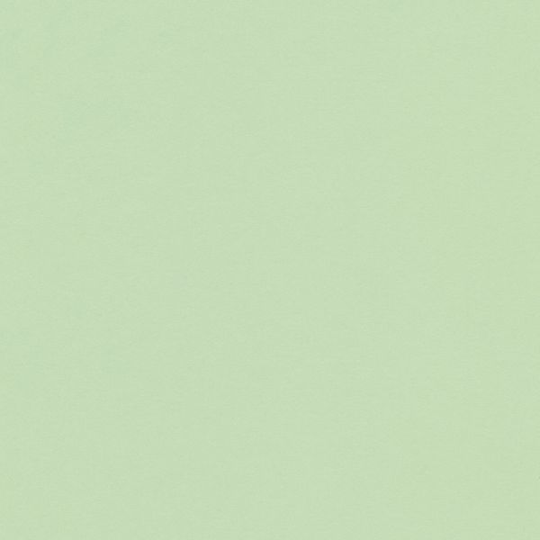 Бумага цветная 120 г/м², A4 21х29.7 см, 50 шт, 12 мятный/mint, Vista-Artista MPO-A4