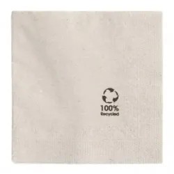 Салфетка бумажная ECO двухслойная, 20*20 см, 100 шт, Garcia de PouИспания