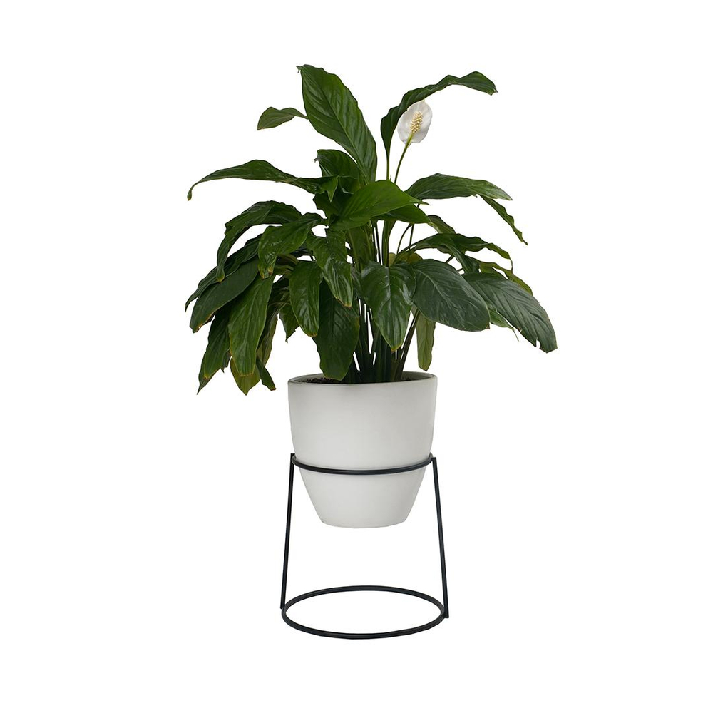 Подставка для растений "Гамма", D16/18